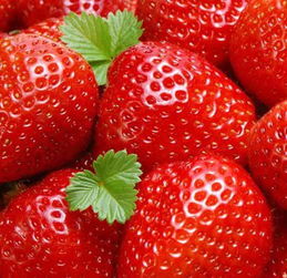 農(nóng)副產(chǎn)品配送 連接優(yōu)質(zhì)商家與消費(fèi)者的橋梁