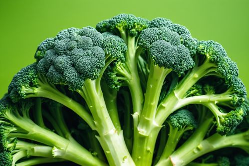 西藍(lán)花 生機(jī)盎然的綠色營(yíng)養(yǎng)寶庫