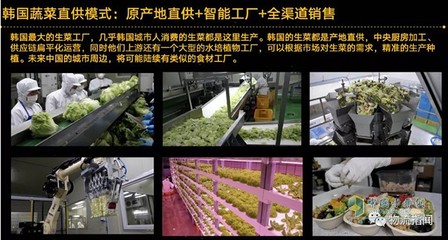 未來五年數(shù)字經(jīng)濟時代下農(nóng)產(chǎn)品物流供應(yīng)鏈的新趨勢