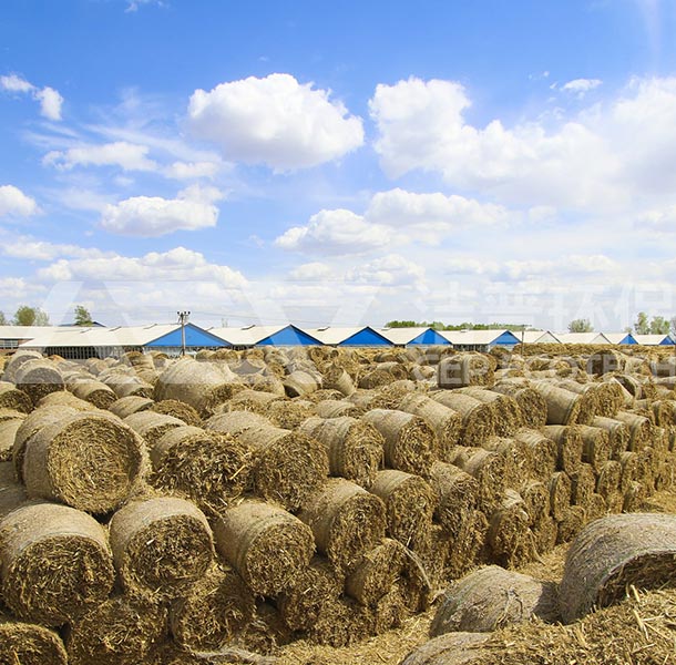 智能化秸稈粉碎機(jī)價(jià)格與農(nóng)作物秸稈破碎機(jī)廠家全解析