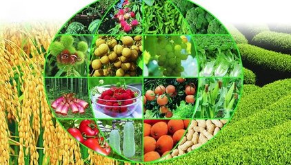 構(gòu)建農(nóng)產(chǎn)品追溯標(biāo)準(zhǔn)體系，推進(jìn)農(nóng)業(yè)全程標(biāo)準(zhǔn)化——七部門聯(lián)合部署農(nóng)產(chǎn)品質(zhì)量安全新舉措