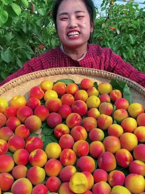 守護(hù)舌尖上的安全與品質(zhì) 優(yōu)質(zhì)農(nóng)產(chǎn)品的時代價值與未來之路