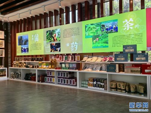 念好“生態經” 打造新業態——廣西金秀瑤寨鄉村振興見聞