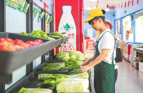 海口經濟圈 以產銷對接為紐帶，譜寫市縣優勢互補、資源共享新篇章